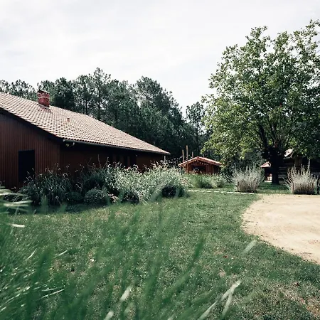 La Maison Des Pins Contis Villa Saint-Julien-en-Born