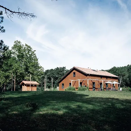 La Maison Des Pins Contis * Saint-Julien-en-Born