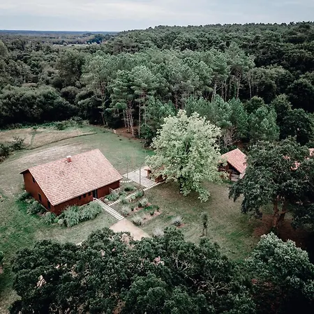 La Maison Des Pins Contis サン・ジュリアン・アン・ボルヌ