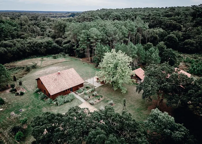 La Maison Des Pins Contis サン・ジュリアン・アン・ボルヌ